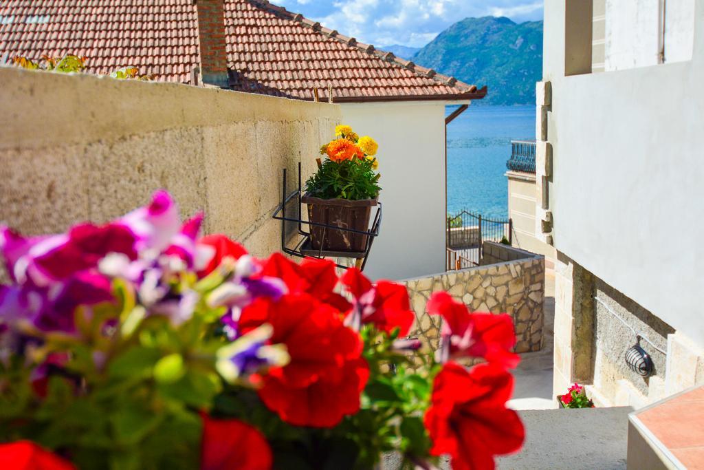 Apartment The Sea Coast Kotor Dış mekan fotoğraf